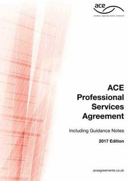 Picture of ACE Professional Services Agreement