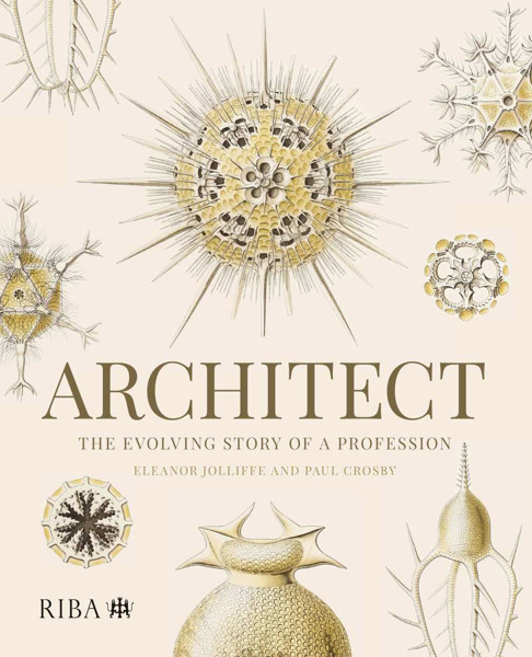 Picture of Architect: The evolving story of a profession